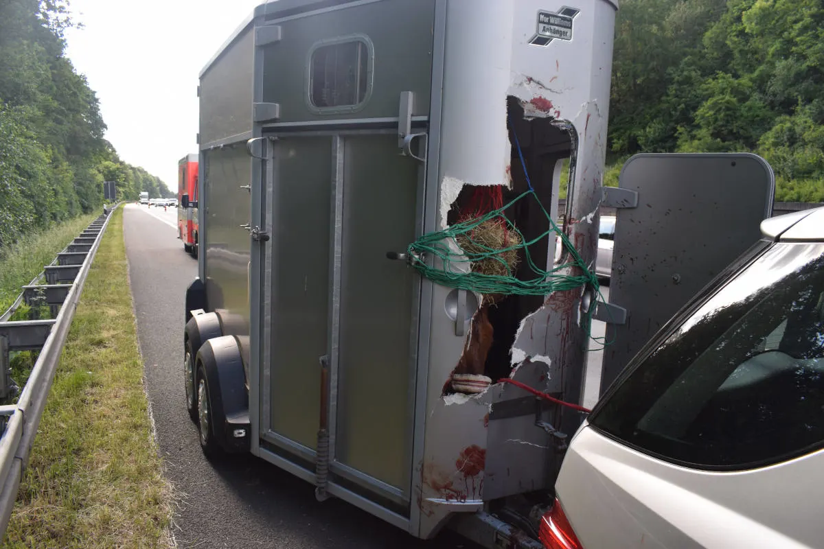 Pferd zerstört eigenen Anhänger während voller Fahrt