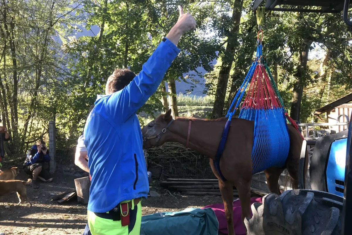 Chur GR - Pferd aus Mühlbach gerettet