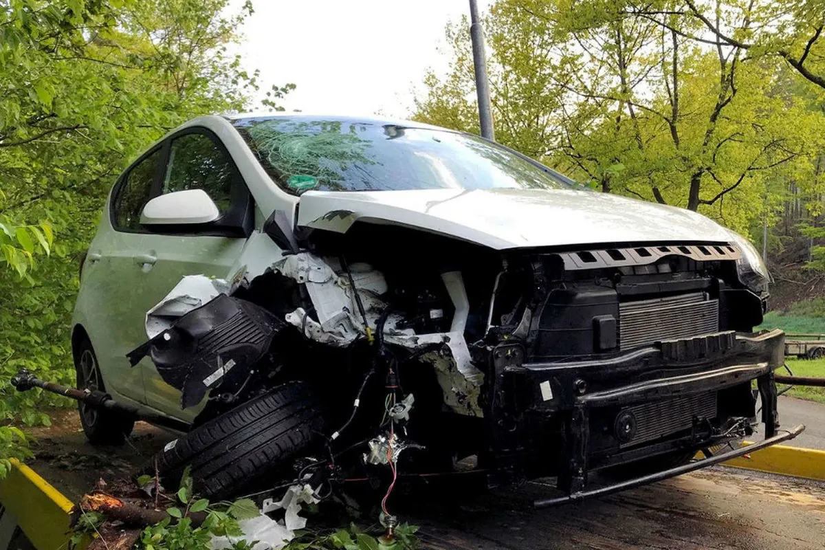 Hyundai im Gebüsch parkiert und abgehauen