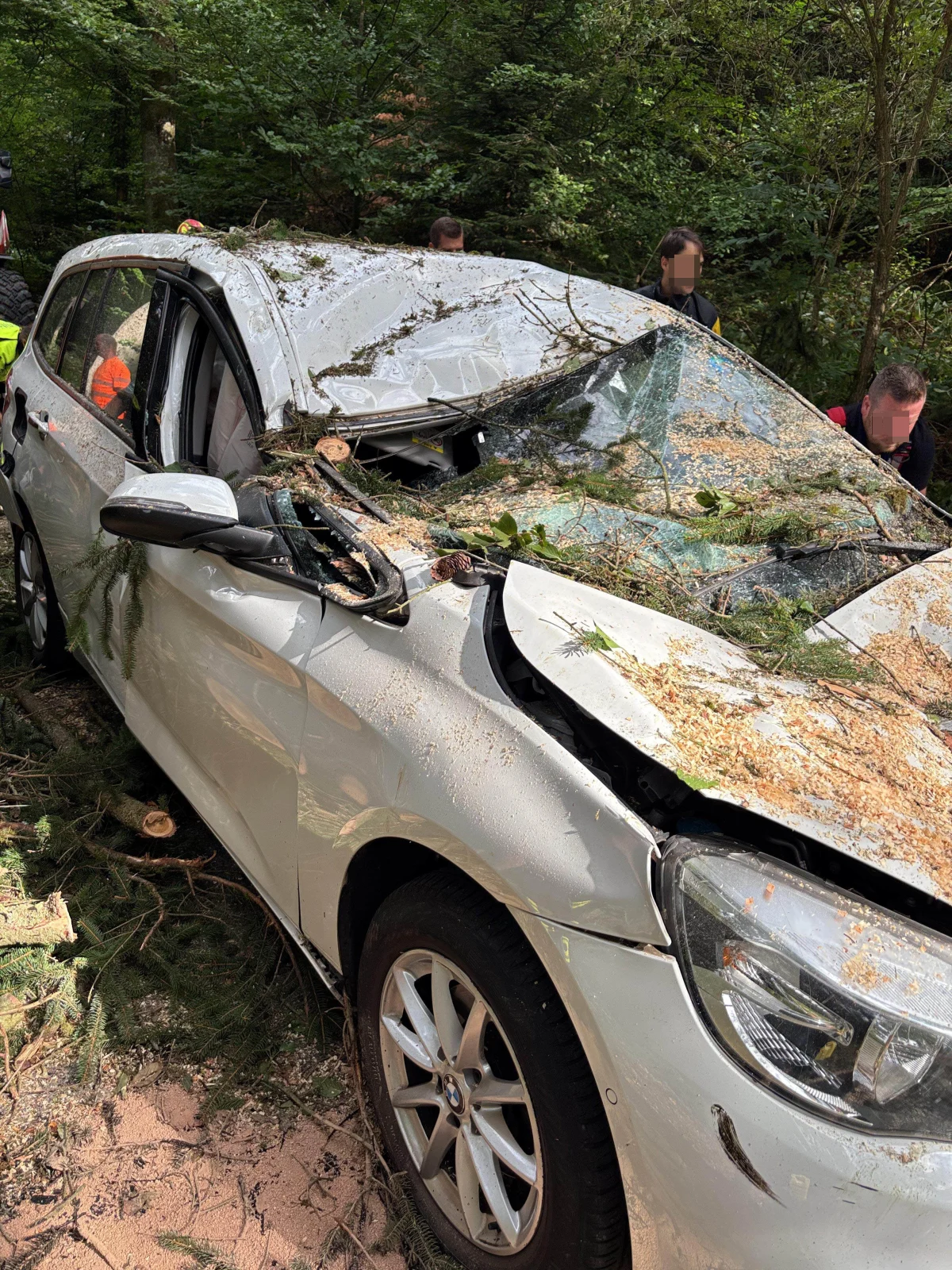 Das Bild zeigt ein stark beschädigtes, silbernes Auto, das im Wald unter Baumästen liegt. Mehrere Menschen im Hintergrund sehen dem beschädigten Fahrzeug zu.