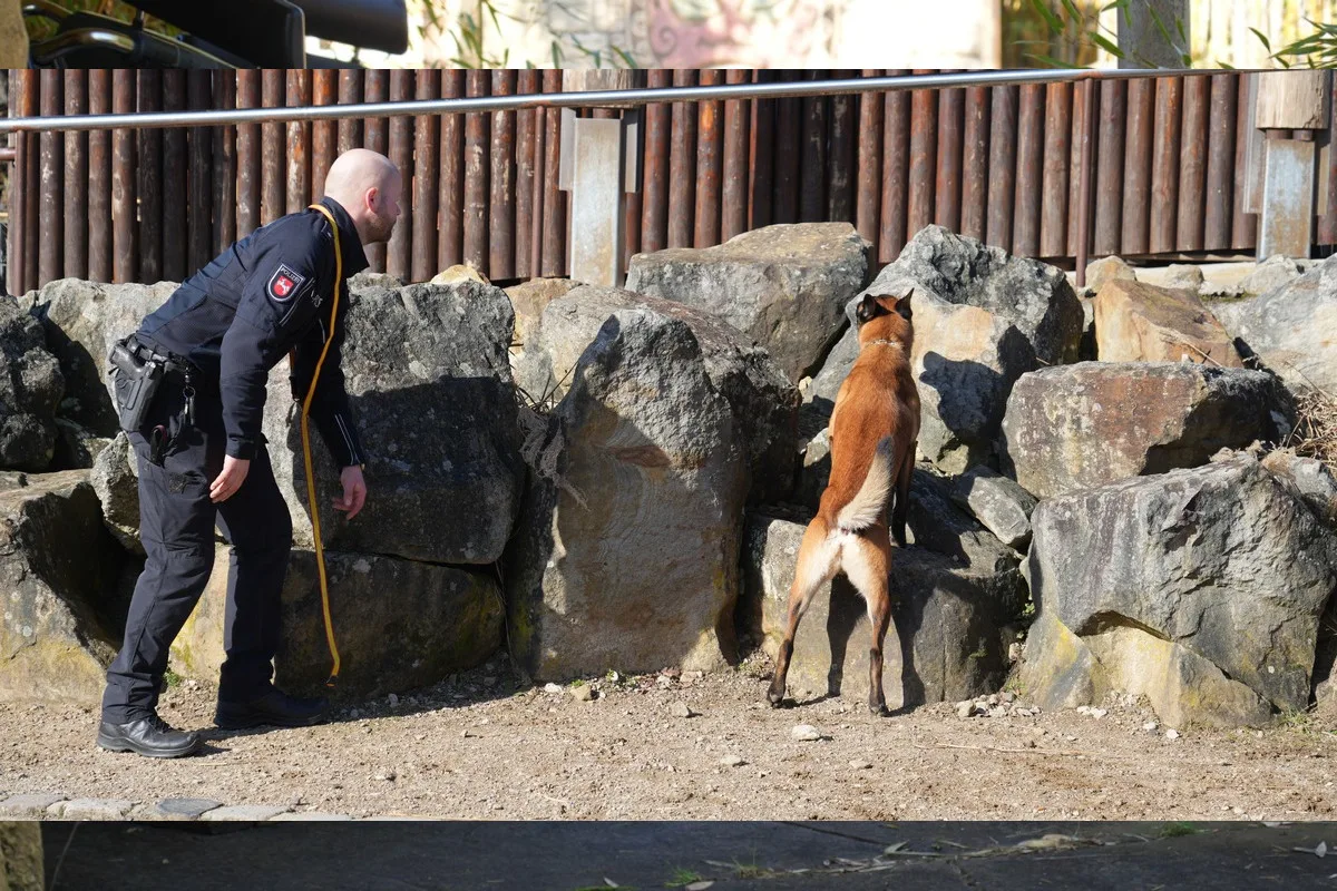 Soltau – Polizeihunde trainieren im Heide Park für Ernstfall