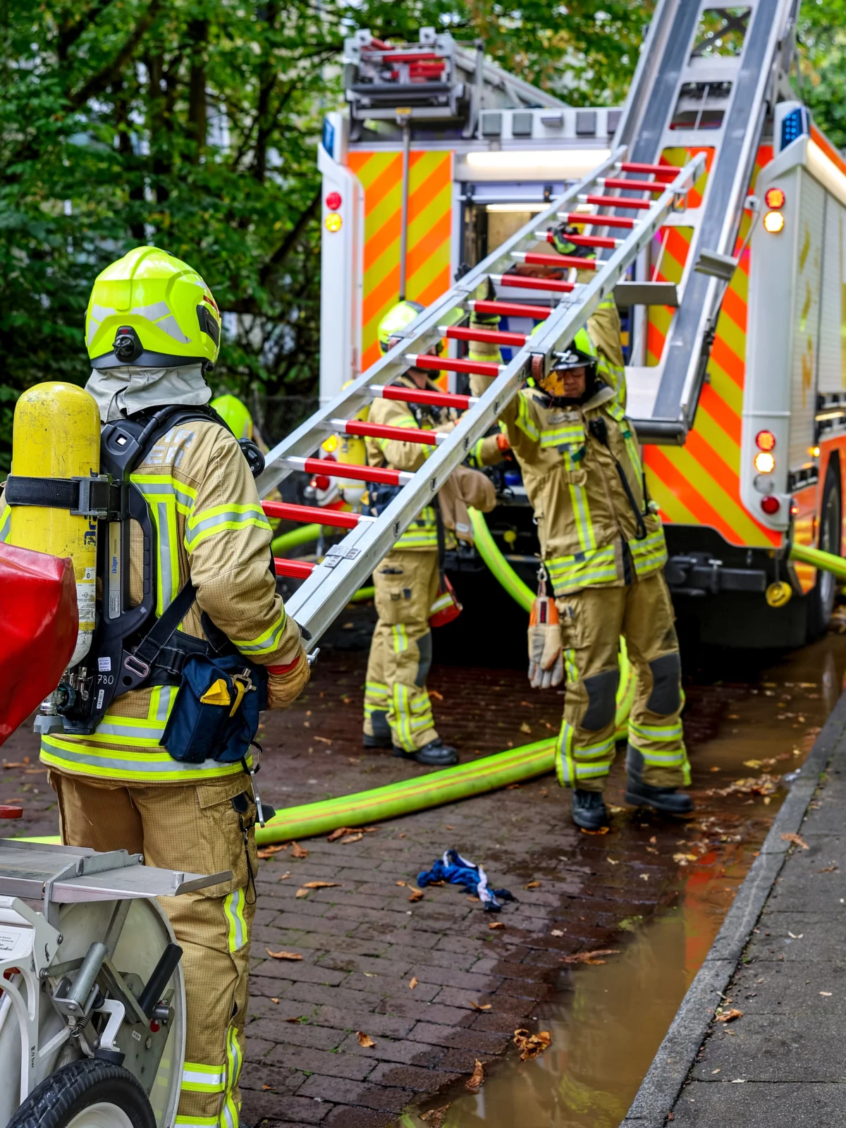 Mehrere Feuerwehrleute in gelben Schutzanzügen arbeiten mit einer Leiter an einem Feuerwehrfahrzeug. Das Fahrzeug steht auf einer nassen Straße in einem grünen Gebiet.