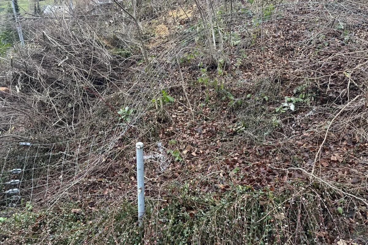 St.Gallen – Ungesichertes Auto rollt durch einen Garten