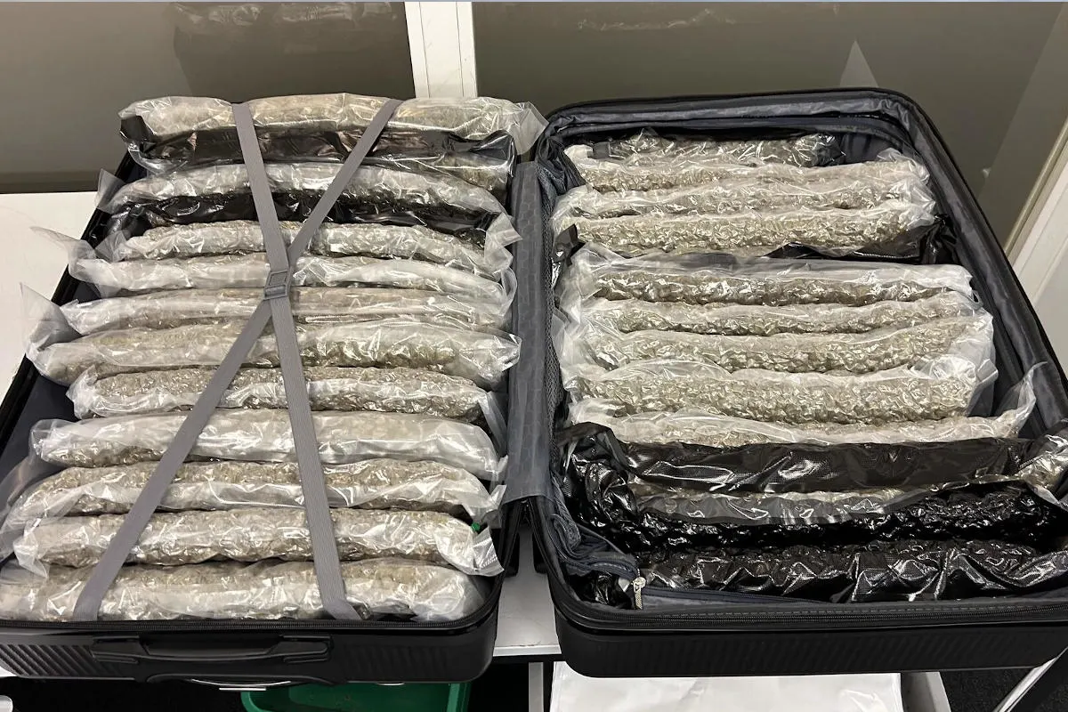 Flughafen Zürich ZH - Rund 160 Kilogramm Marihuana sichergestellt