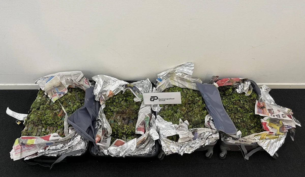Zürich-Flughafen – Drogenkuriere verhaftet und Khat sichergestellt