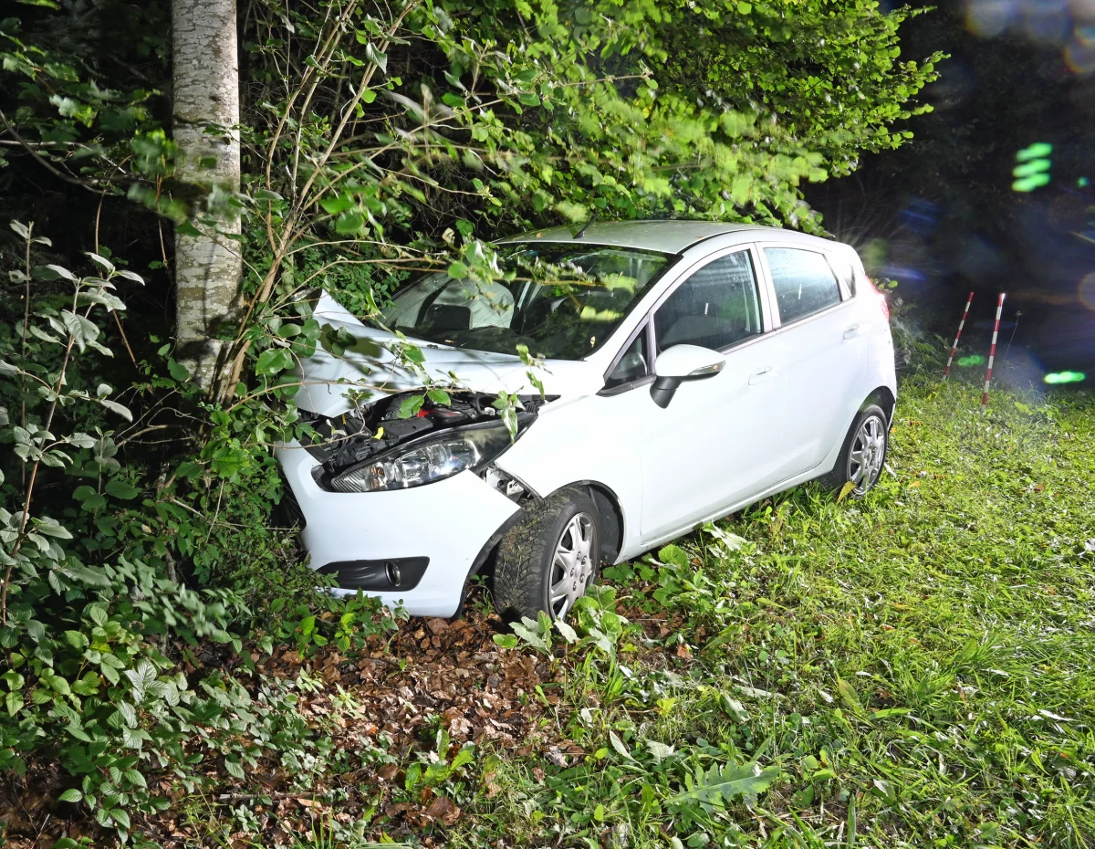 Ein weißes Auto steht mit beschädigter Front in einem Waldstück an einem Baum. Die Umgebung ist dicht bewachsen und grün.