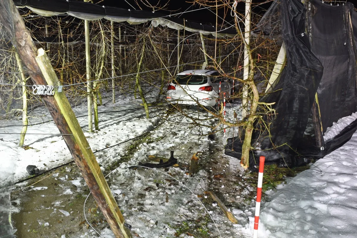 Dagmersellen LU - Alkoholisierter Autofahrer verursacht Selbstunfall - Führerschein weg