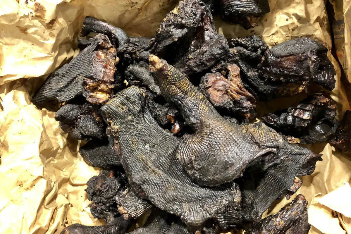 Flughafen Zürich ZH - Über sechs Kilogramm Bushmeat sichergestellt