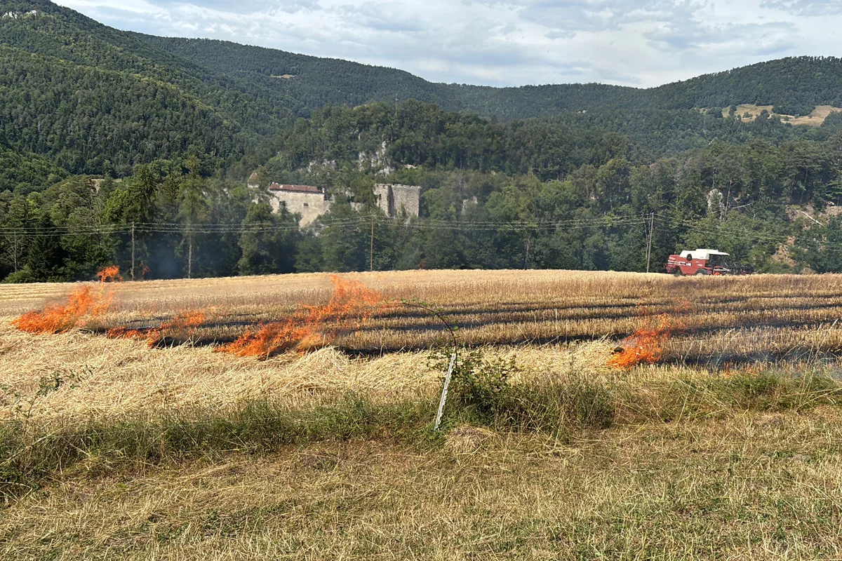 Auf einem großflächigen Feld lodern Flammen entlang der trockenen Vegetation. Ein roter Mähdrescher ist in der Ferne zu sehen, während sich die Feuerlinie quer über das Feld zieht.