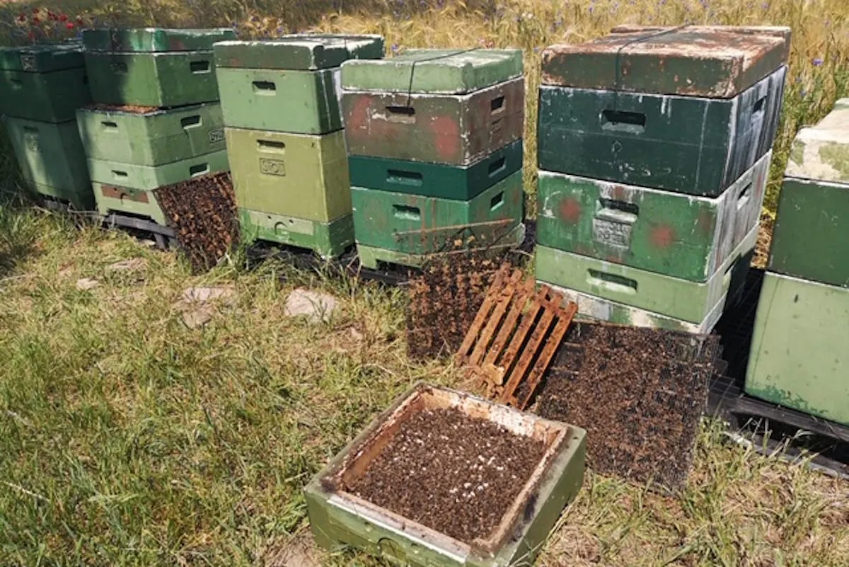 Bollewick – Sachbeschädigung an Bienenkästen