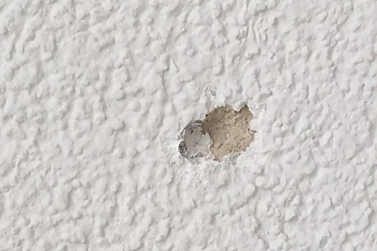 Zetzwil AG - Projektil nach Schussabgabe in Hausfassade gefunden