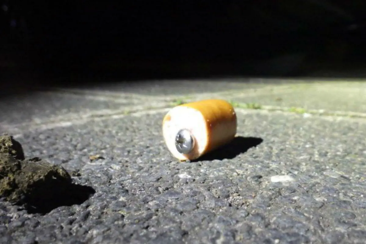 Mit Schrauben gespickte Würstchen ausgelegt - Zeugenaufruf