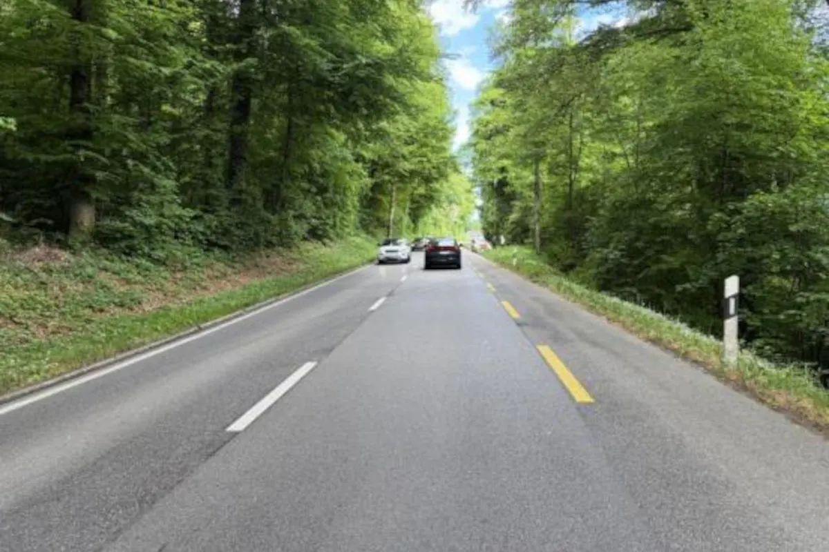 Eine Landstraße führt durch ein bewaldetes Gebiet. Im Hintergrund sind mehrere Fahrzeuge auf der Straße sichtbar.