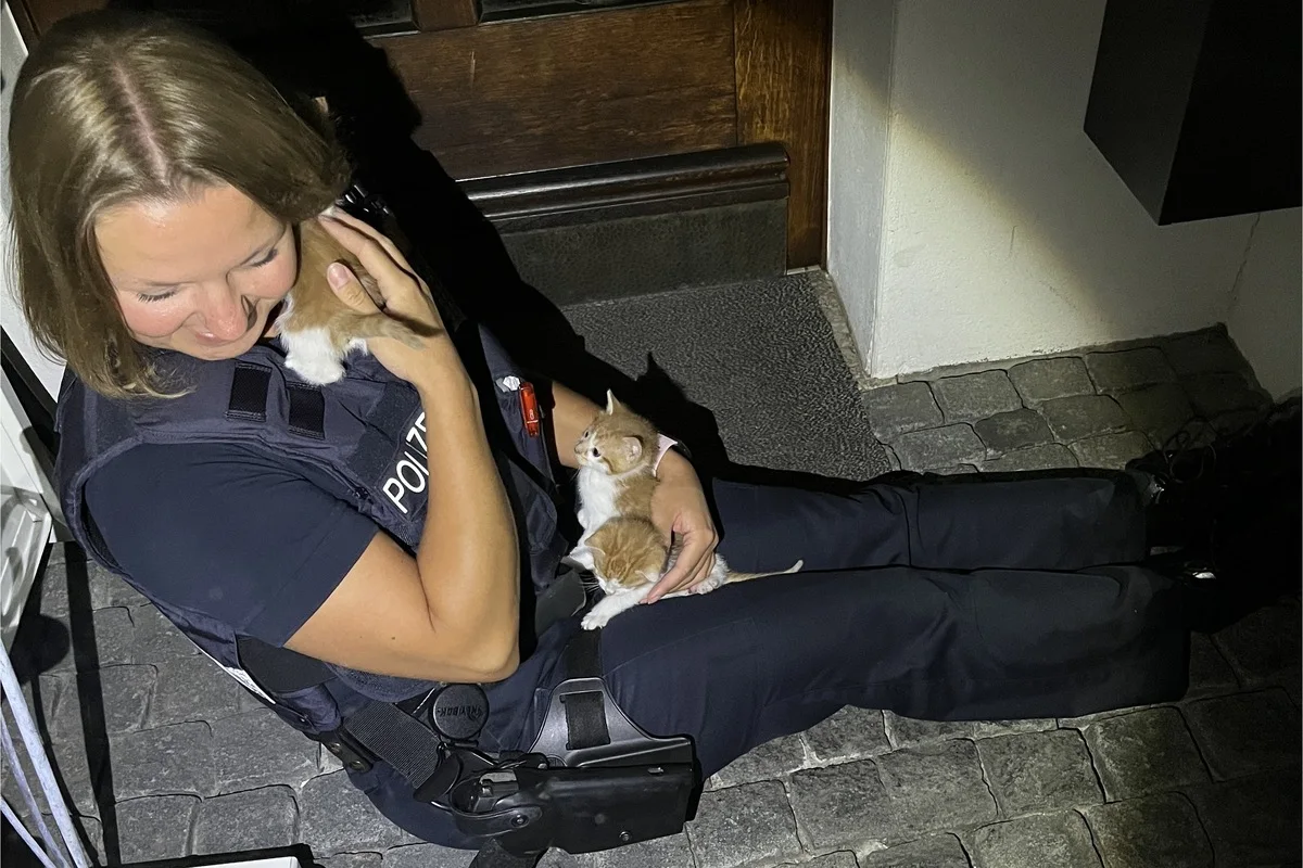 Daaden RP - Zeugenaufruf nach Fund von Katzenbabys