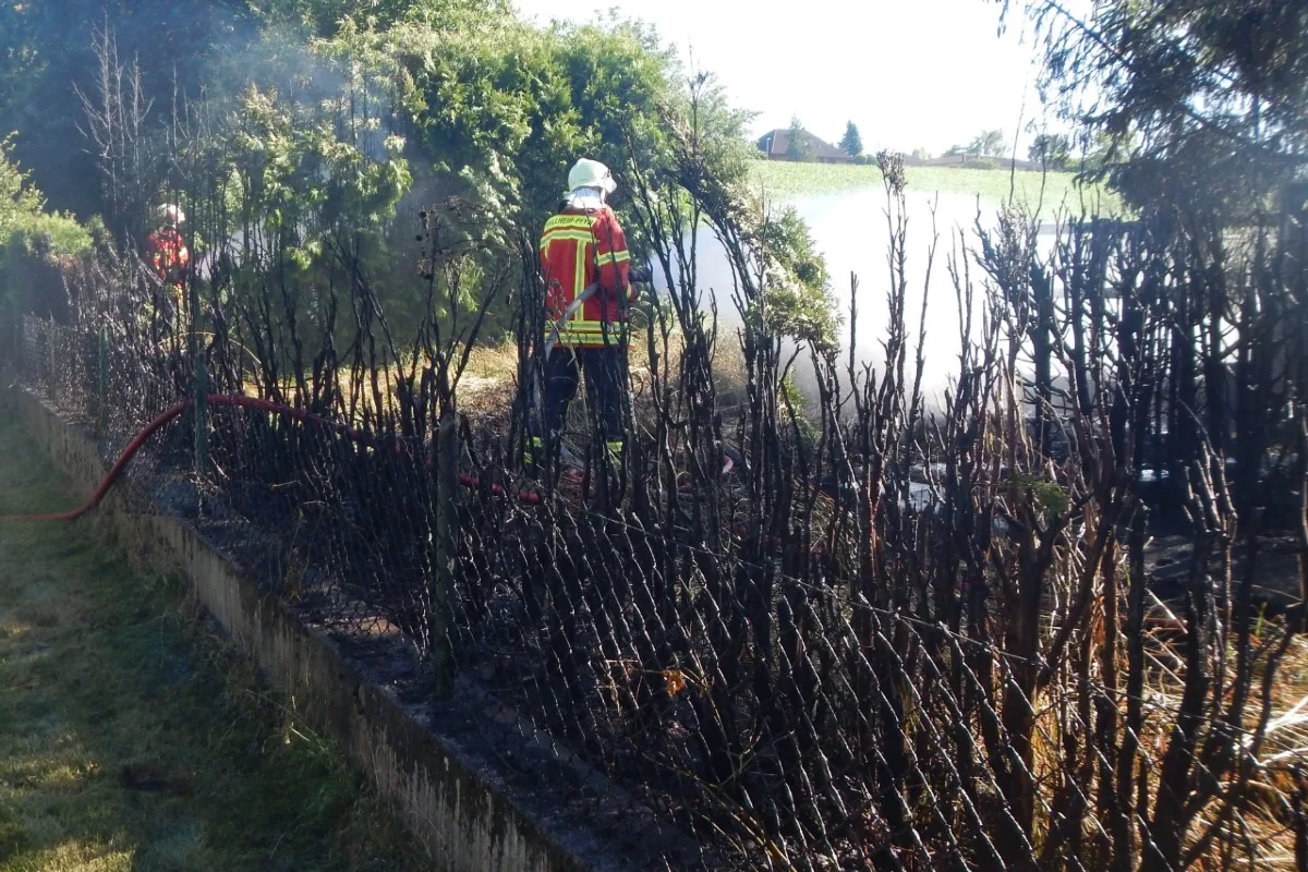 Pfyn TG - Hecke in Brand geraten - Cheminée löste Brand aus
