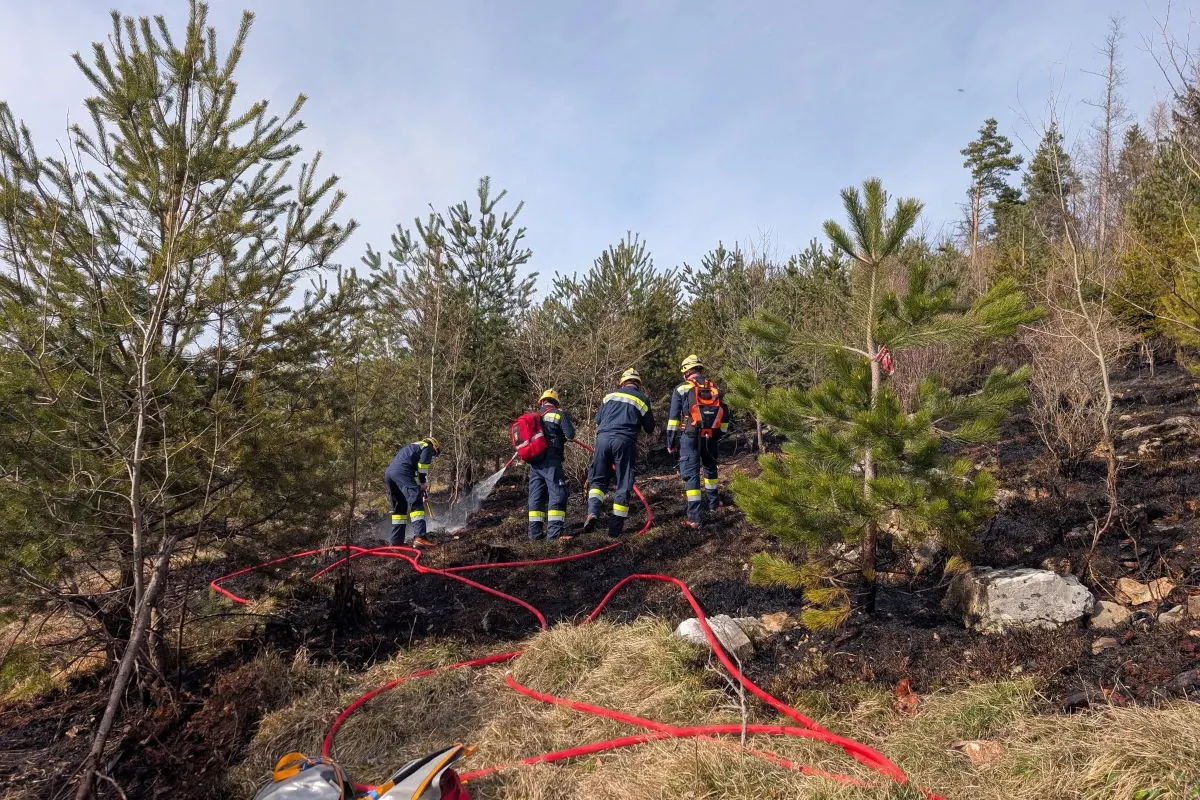 Rinnegg – Brand nach Picknick im Waldgebiet am Novystein