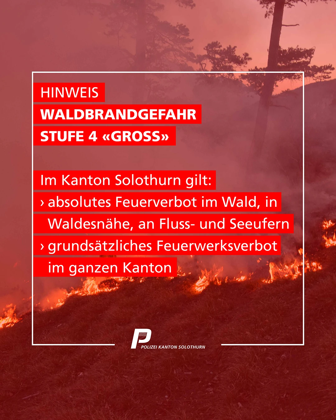 Das Bild zeigt ein Plakat der Polizei Kanton Solothurn, das auf die starke Waldbrandgefahr hinweist. Es informiert über das Feuerverbot im Wald und an Flussufern.
