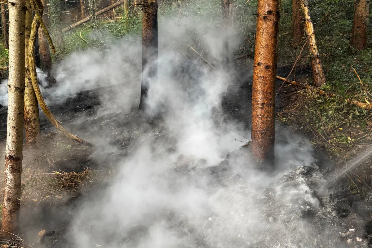 Zwischen den Bäumen in einem Wald steigt dichter Rauch vom Boden auf. Der Boden ist verbrannt und noch rauchend.