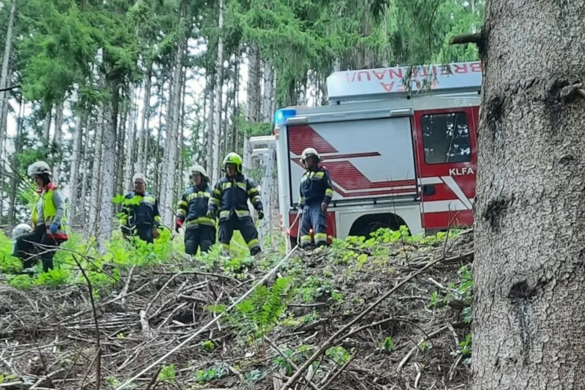 Mehrere Feuerwehrleute in Schutzausrüstung stehen vor einem Feuerwehrfahrzeug in einem Waldgebiet. Sie sind in Einsatzkleidung und tragen Helme.