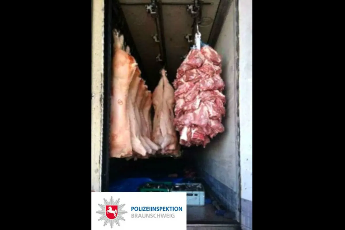 Unverpacktes Fleisch in Lkw mit erheblichen Mängeln