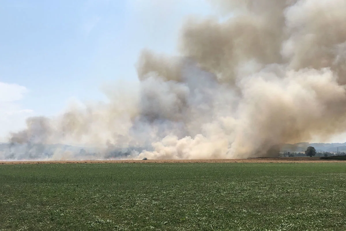 Mauensee LU - Kornfeld gerät in Brand