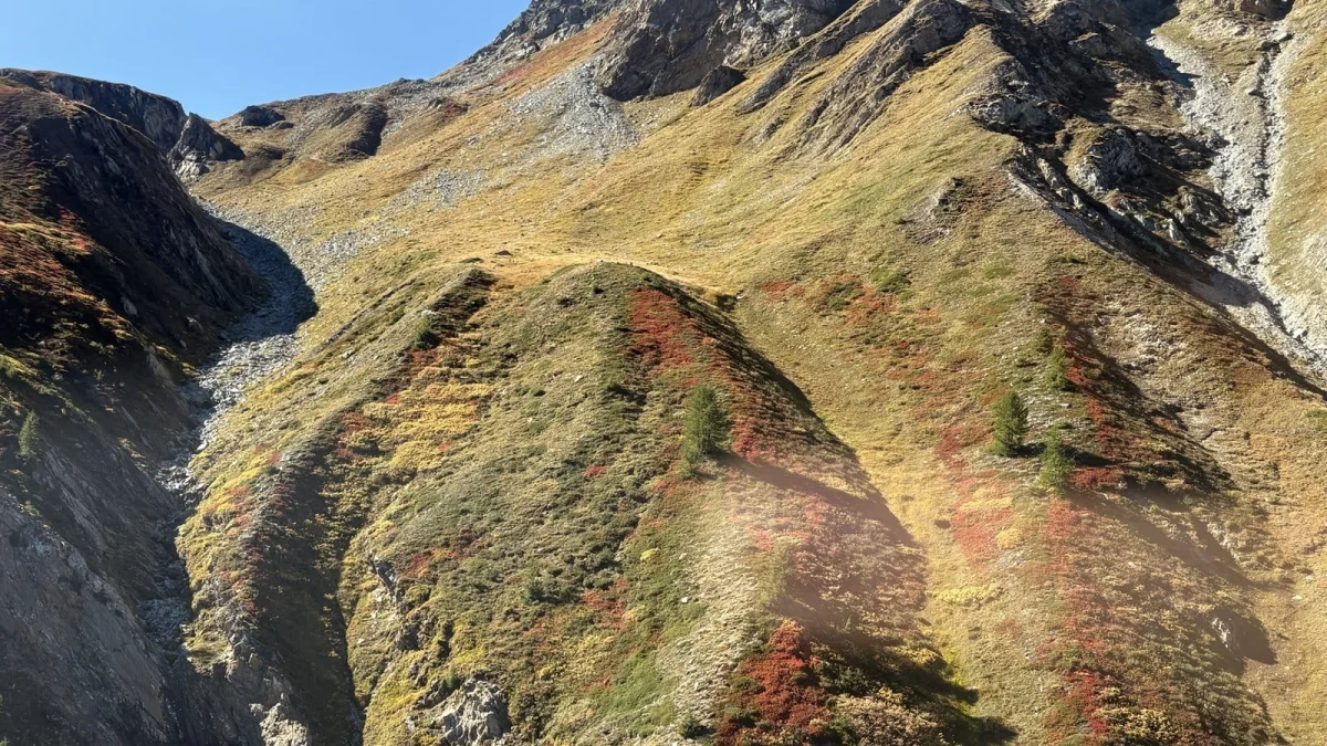 Eine herbstliche Berglandschaft mit steilen, grasbewachsenen Hängen und vereinzelten Bäumen vor klarem Himmel. Es gibt keine Fahrzeuge oder Personen zu sehen.