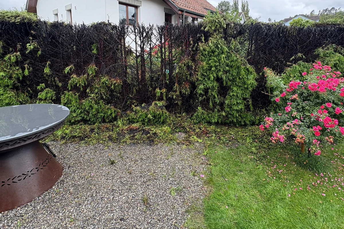 Roggwil TG – Hecke bei Abflammarbeiten in Brand geraten