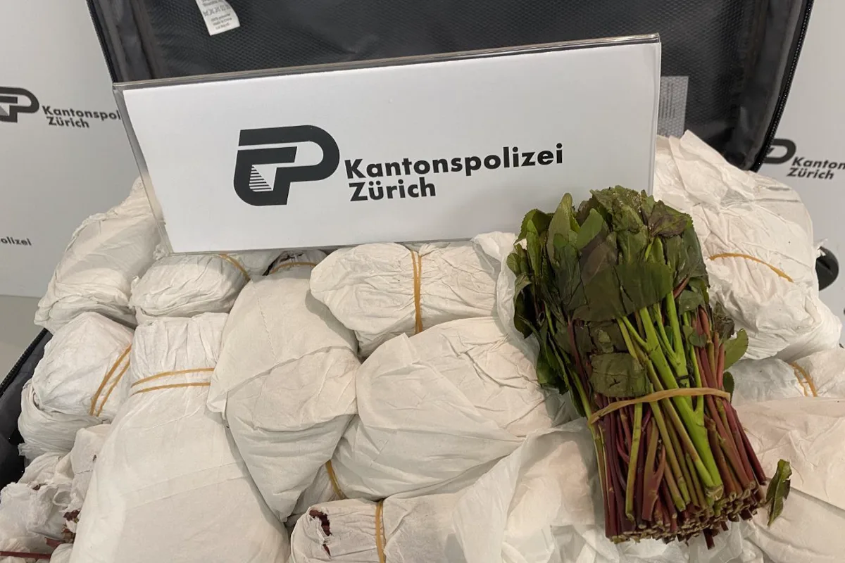 Flughafen Zürich – Drogenkurier verhaftet und Khat sichergestellt