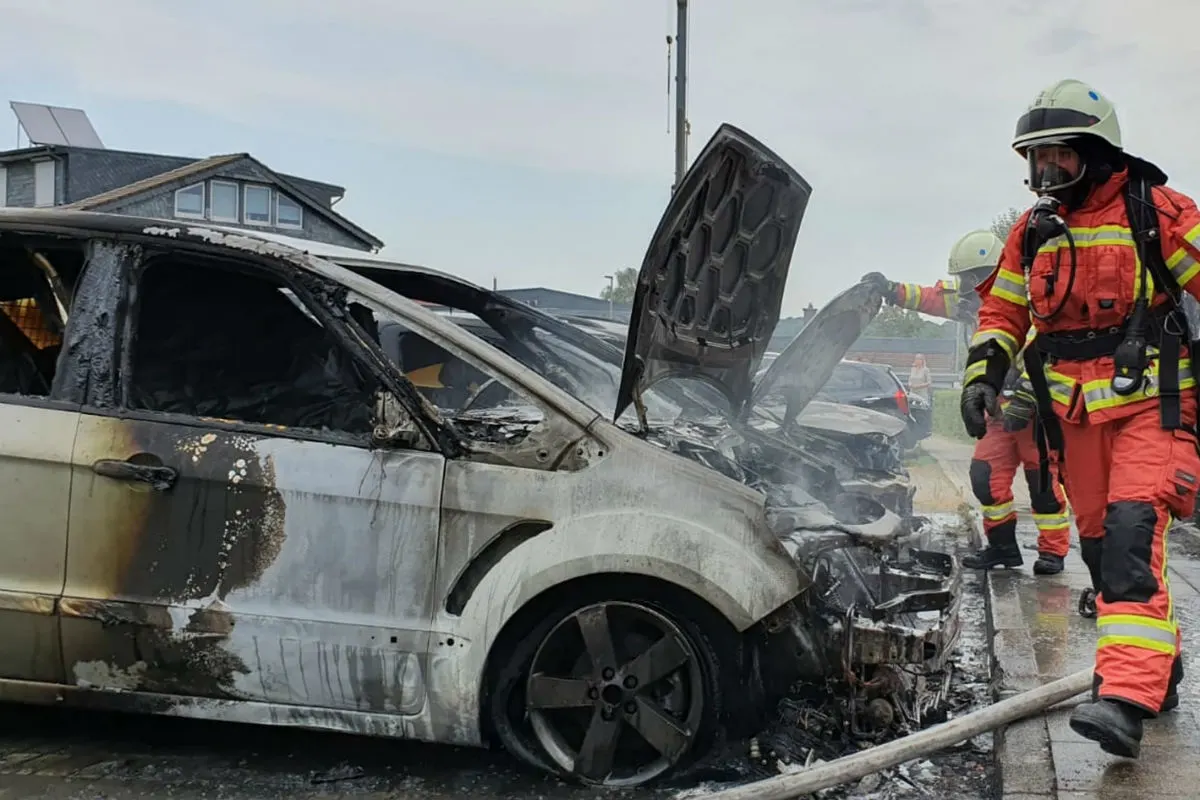 Mehrere Autos bei Heckenbrand beschädigt