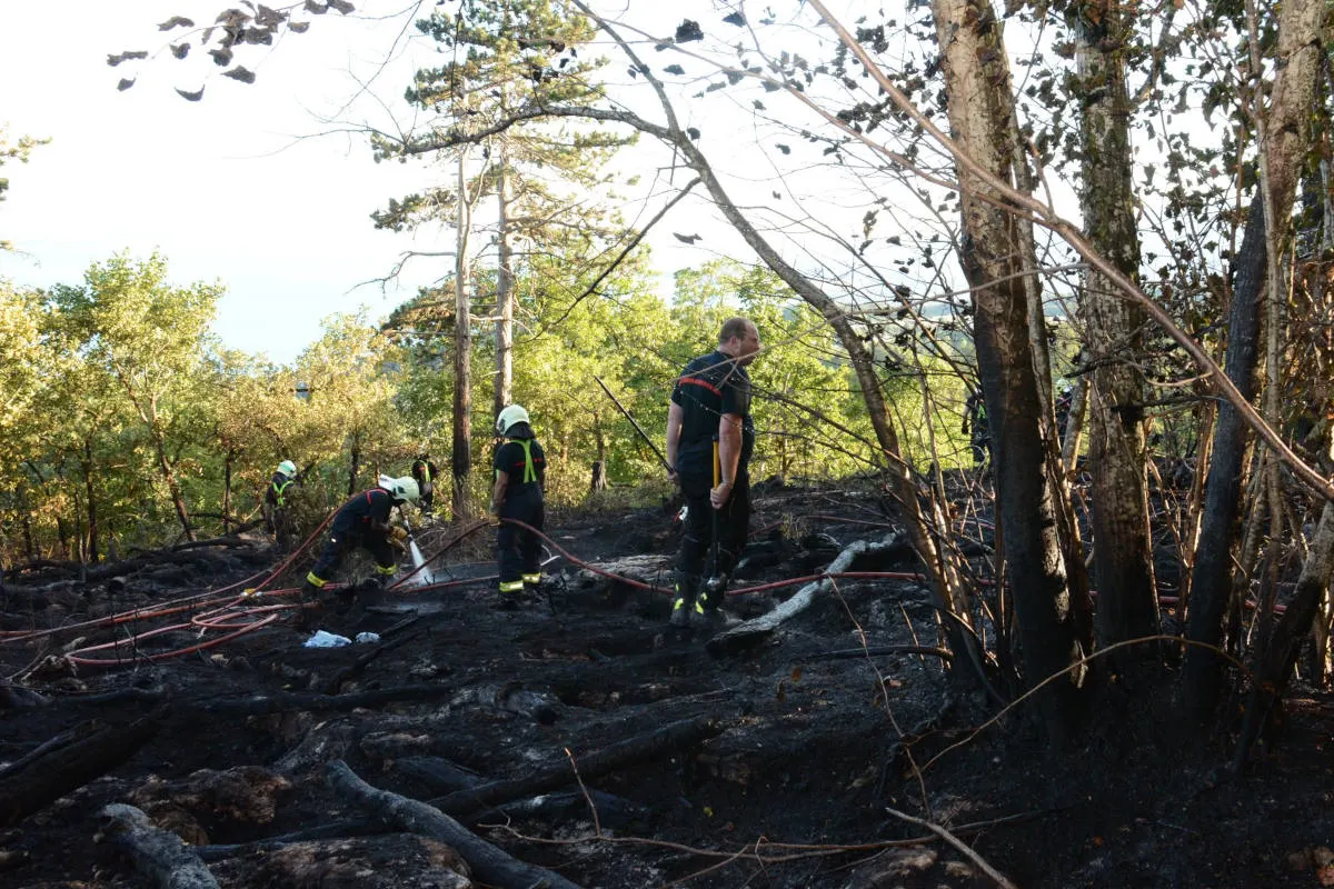 Chaumont NE – Feuerwehr bringt Waldbrand unter Kontrolle – Polizei sucht Zeugen