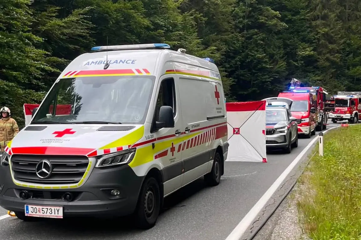 Mehrere Rettungsfahrzeuge, darunter eine Ambulanz, stehen auf einer gesperrten Straße im Wald. Feuerwehrmann sichtbar.