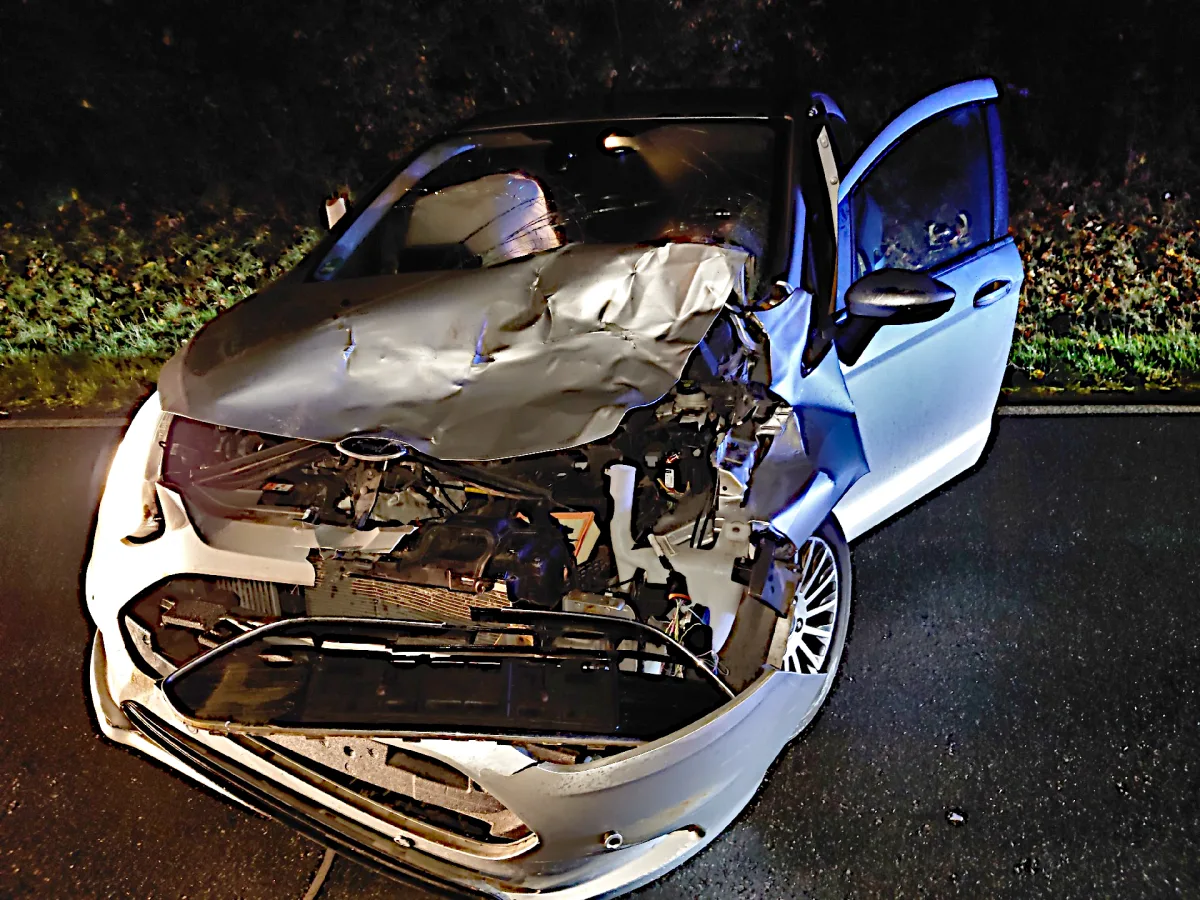 Coppenbrügge – Totalschaden nach Wildunfall