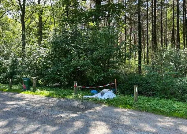 Ein Waldstück mit Absperrband um eine unbestimmte Stelle, von Bäumen und Büschen umgeben.