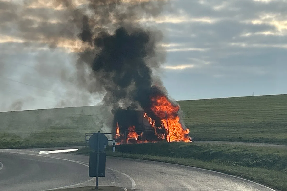 Bad Bergzabern RP – Kleintransporter in Brand