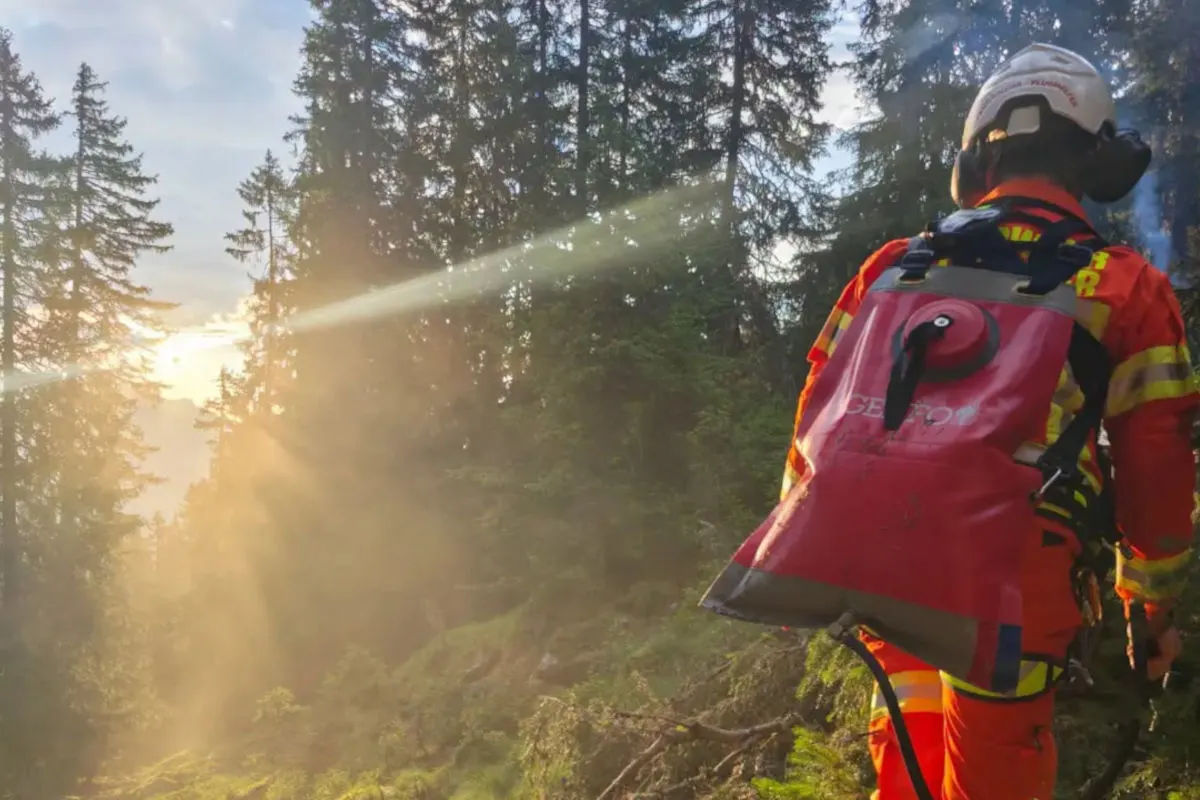 Eine Person trägt Schutzkleidung mit einem roten Wasserbehälter im Wald, während die Sonne untergeht.