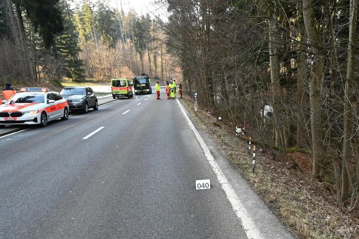 Wetzikon ZH – Mit mehreren kleineren Bäumen und Gebüschen kollidiert