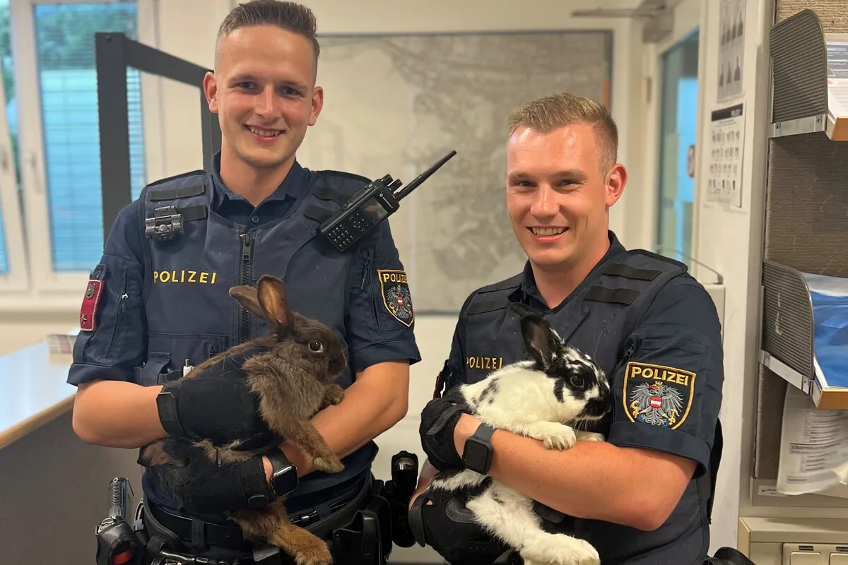 Wien - Polizei rettet zwei Kaninchen 