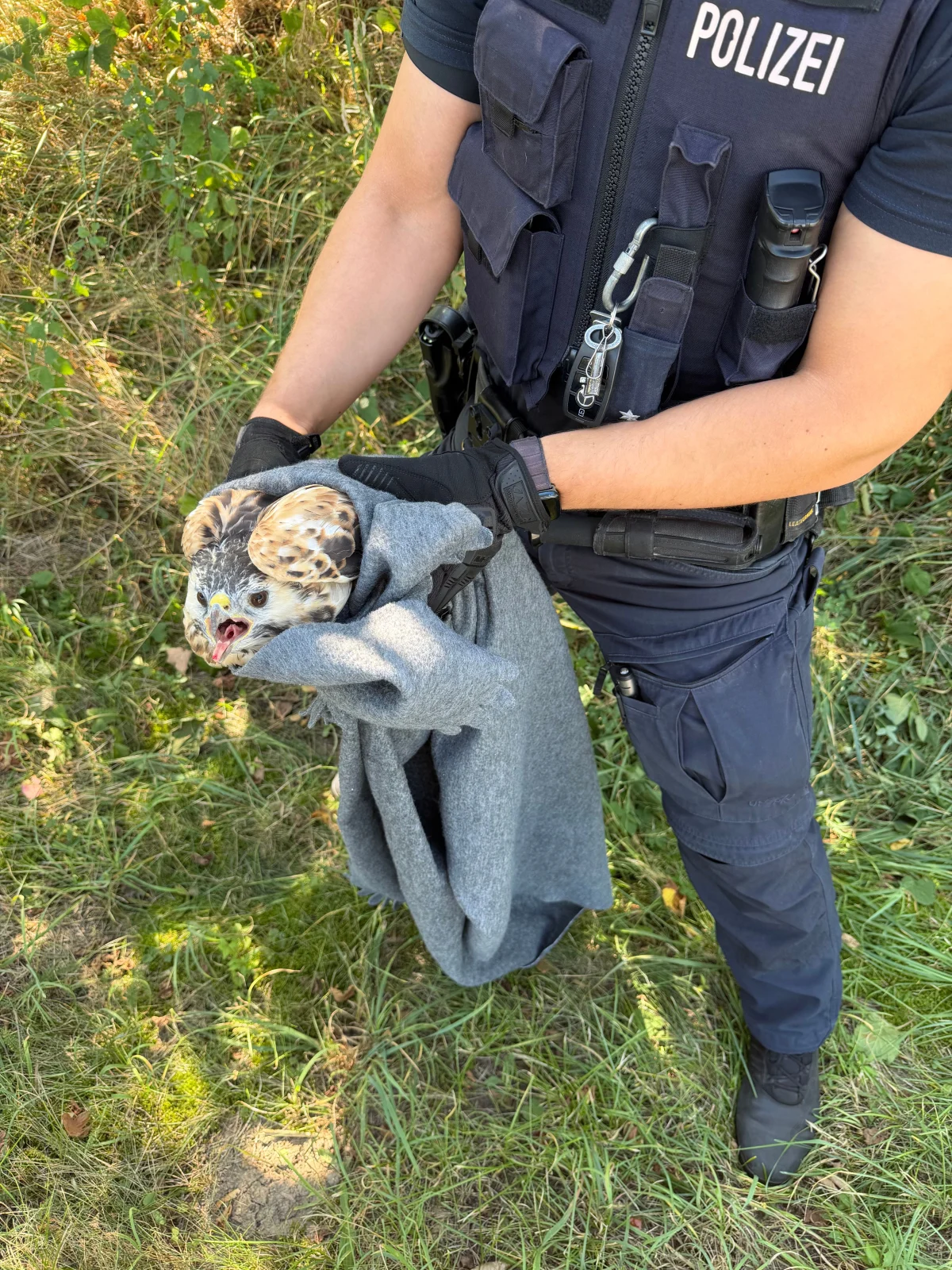 Ein Polizeibeamter in Uniform hält mit beiden Händen einen in eine Decke gewickelten Greifvogel. Die Szene spielt sich im Freien ab.