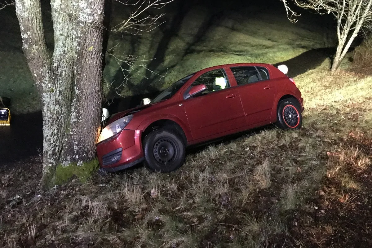 Hirschhorn -  Schwerer Unfall durch Wildwechsel 