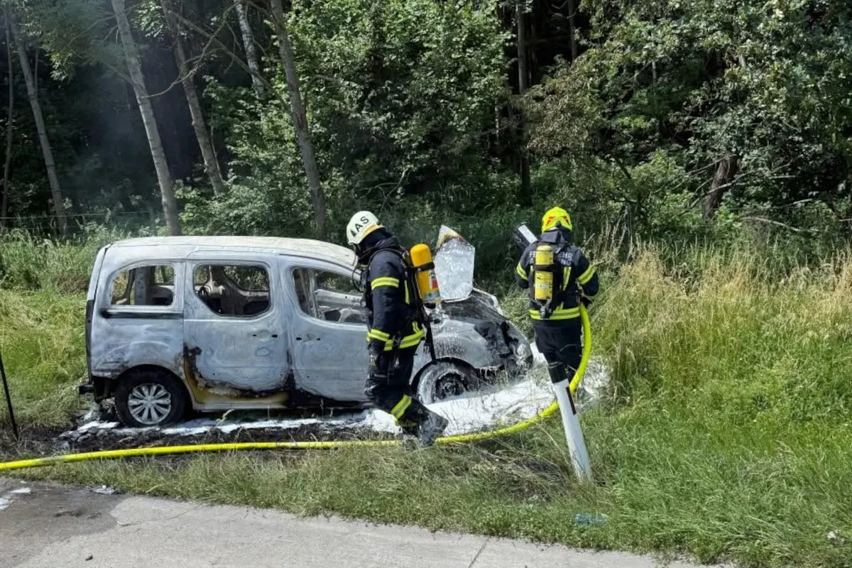 Zwei Feuerwehrleute begutachten ein ausgebranntes Auto am Straßenrand, umgeben von Bäumen und Gras.