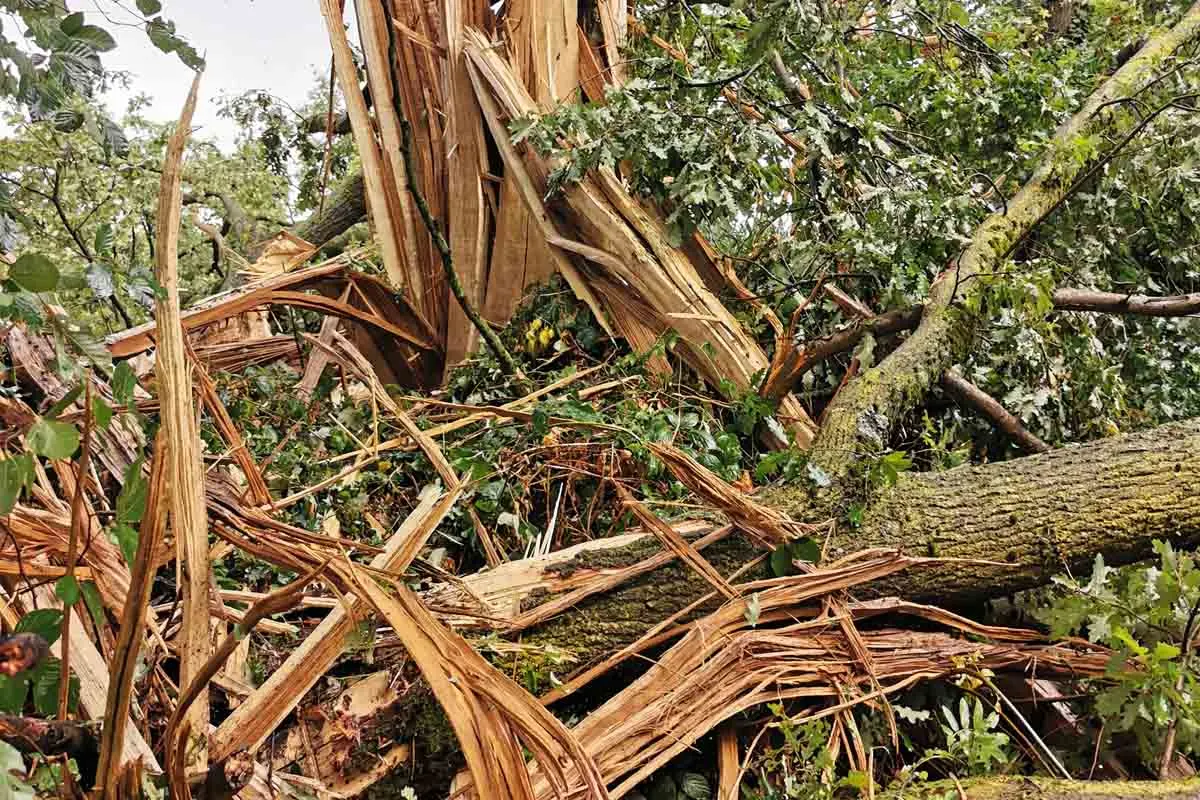 Werne - Nach dem Unwetter