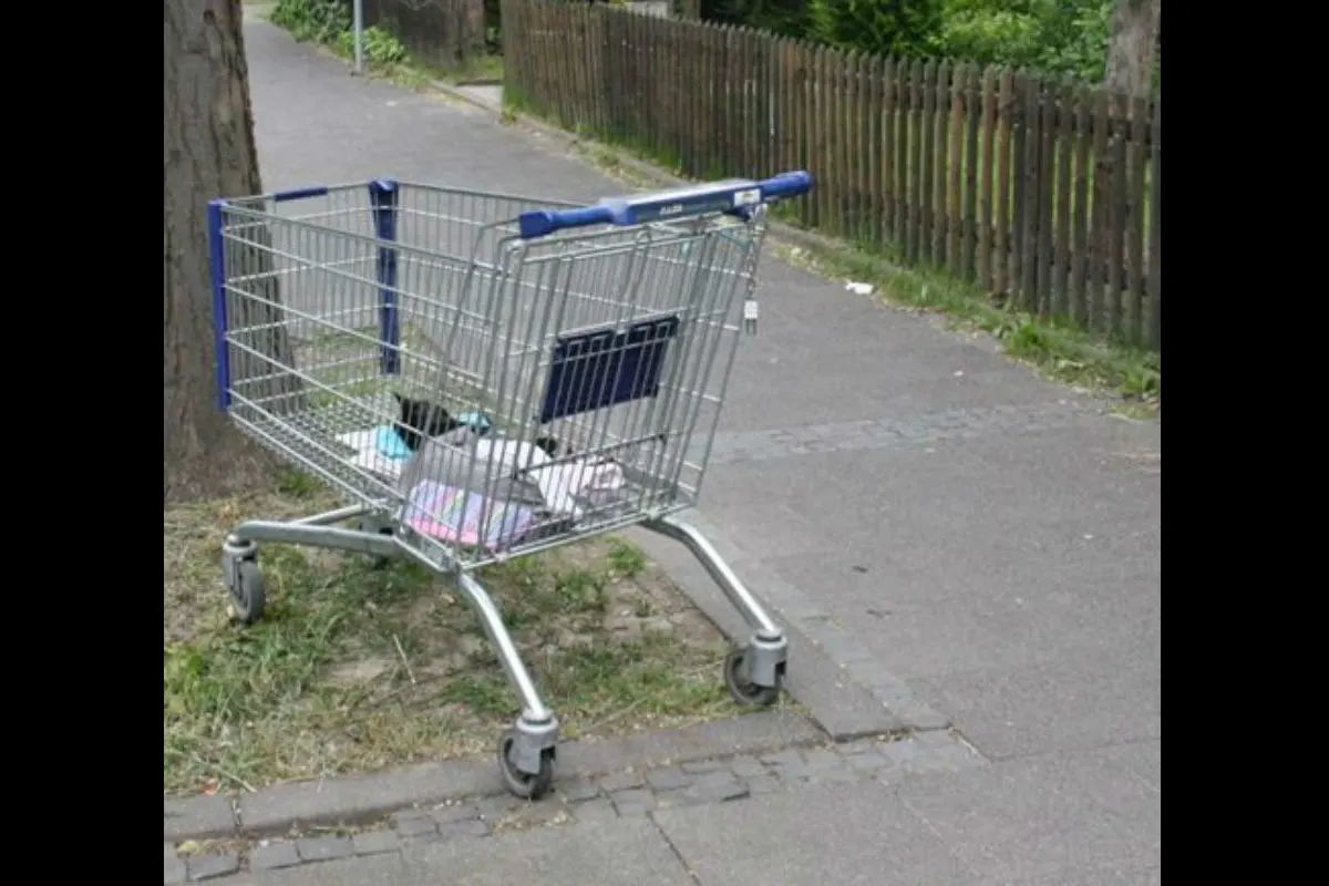 Tote Katze in Einkaufswagen abgestellt