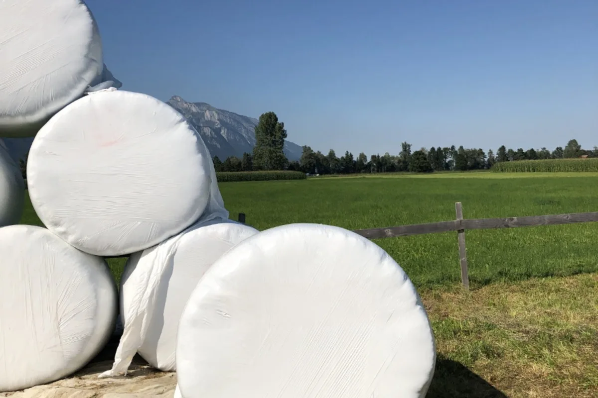 Schwerer Arbeitsunfall in Grabs SG -  Siloball fällt auf Mann und verletzt ihn!