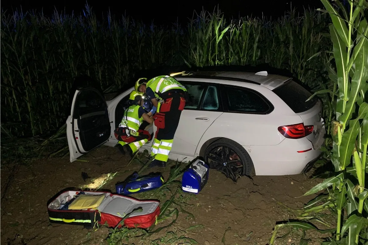 Kestenholz SO - Auto durchbricht Wildschutzzaun  auf der A1 