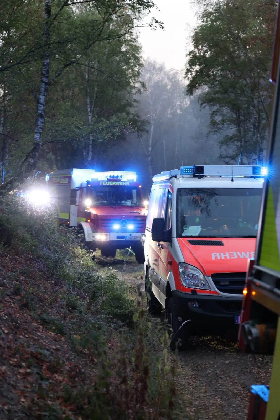 Mehrere Feuerwehrfahrzeuge mit eingeschaltetem Blaulicht fahren auf einem schmalen, bewaldeten Weg.