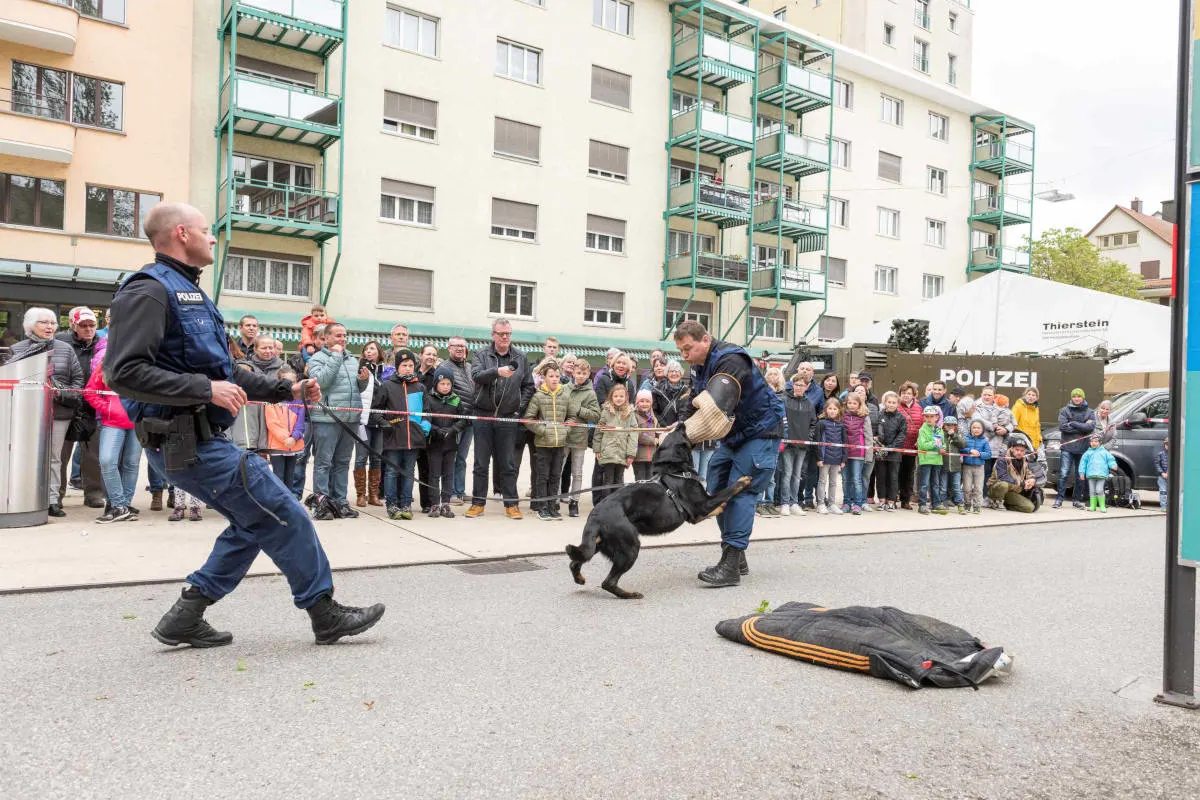 Grenchen SO - Viele Besucher beim Publikumstag «alibi'19» 