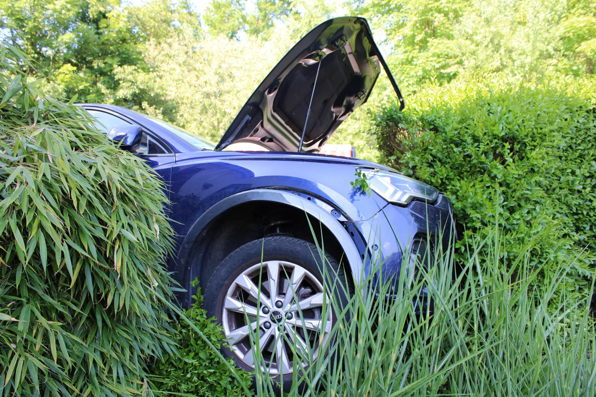 Ein blaues Auto ist im dichten Gebüsch am Waldrand stecken geblieben, die Motorhaube ist geöffnet. Dichtes Grün umgibt das Fahrzeug.