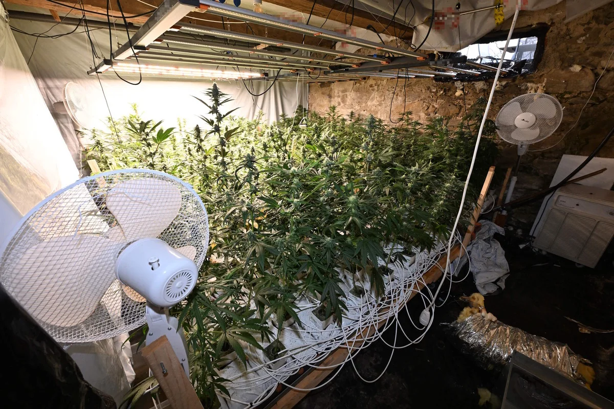 Benken SG - Indoor-Hanfanlage bei Brand entdeckt