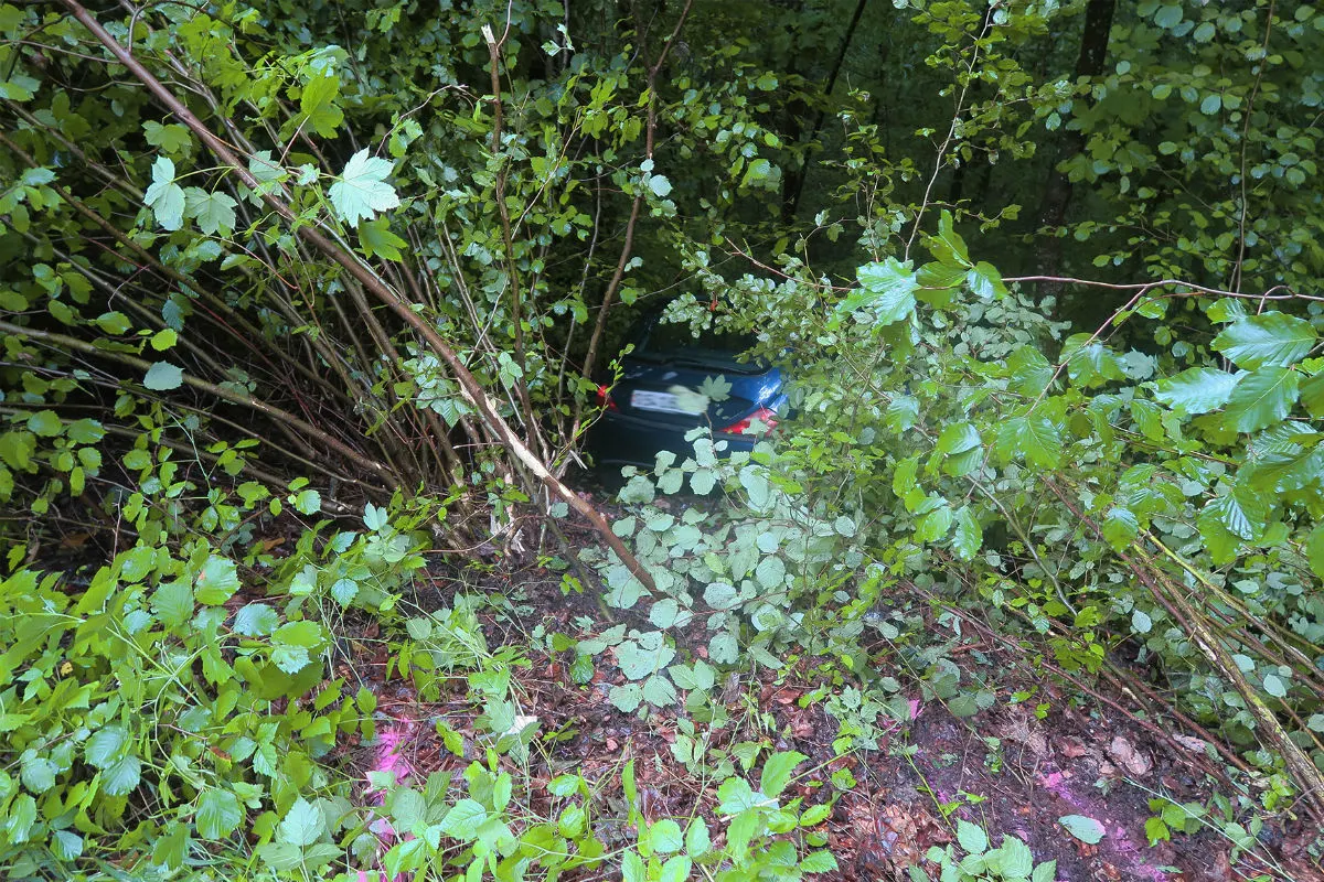 Winterthur ZH - Selbstunfall endet im Grünen