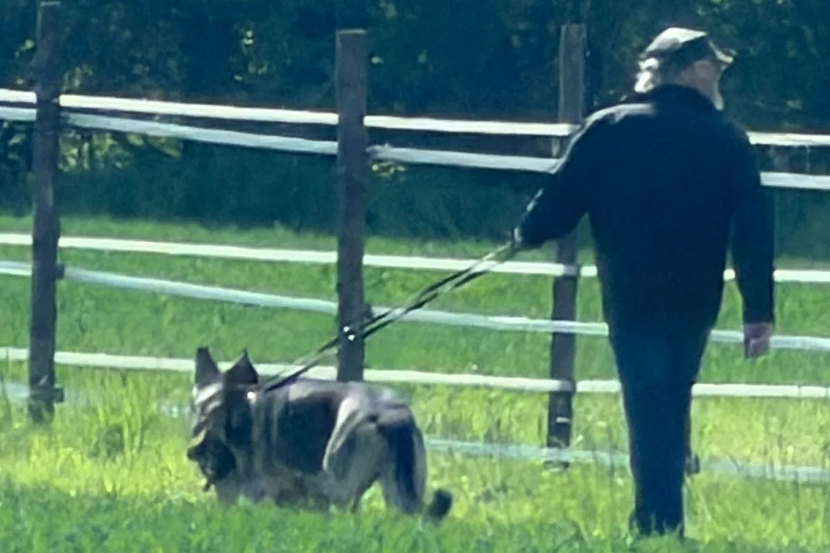 Ein Mann in dunkler Kleidung geht mit einem Hund an der Leine. Im Hintergrund sind Zäune und grünes Gras zu sehen.